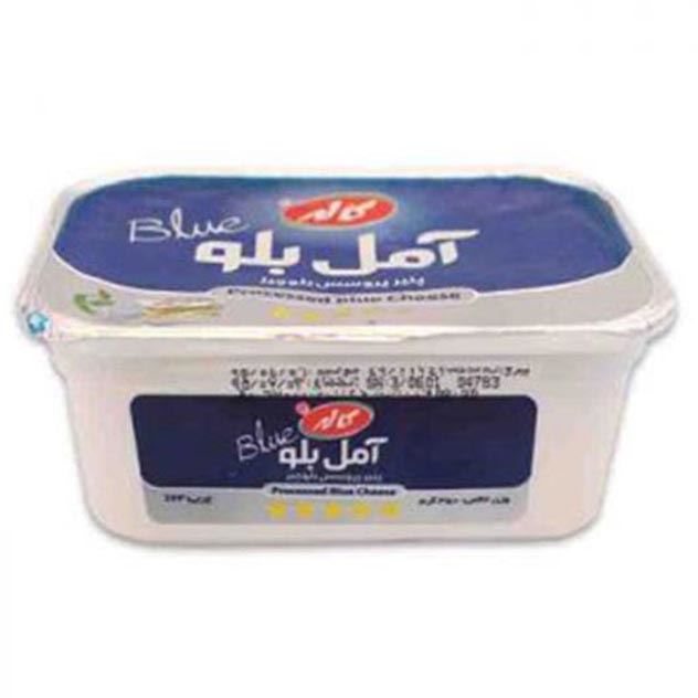 یخ ۲کیلویی 