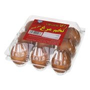 تخم مرغ محلی ۹ عددی  راگا ‌پروتئین